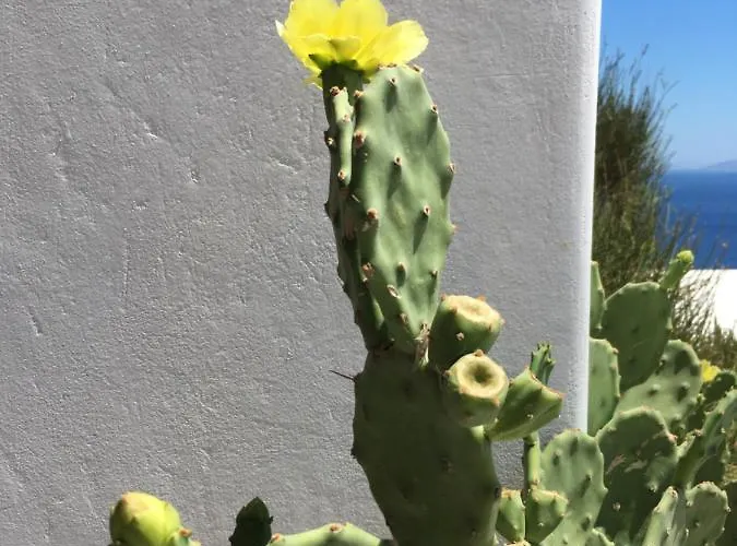 Amazing Sea View, Mykonos Cycladic Villa, Priv Pool Платис Ялос