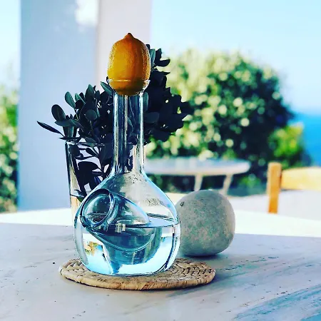 Amazing Sea View, Mykonos Cycladic Villa, Priv Pool 普拉迪斯亚罗斯