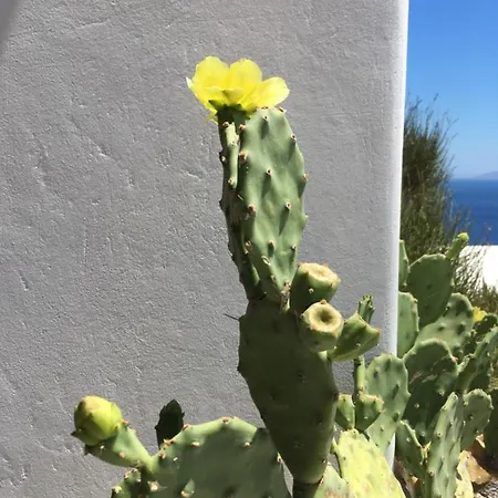 Amazing Sea View, Mykonos Cycladic Villa, Priv Pool 普拉迪斯亚罗斯