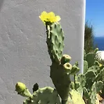 Amazing Sea View, Mykonos Cycladic Villa, Priv Pool Platis Gialos